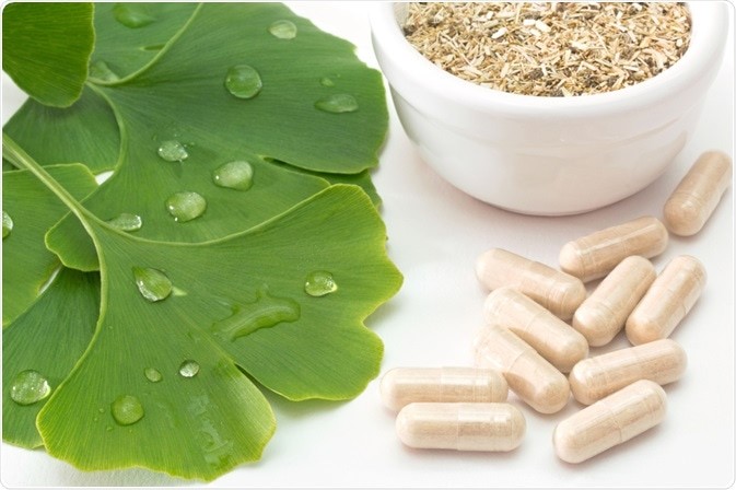 GINGKO BILOBA EXTRACT